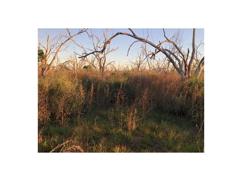 MOORDALE, Walgett NSW 2832