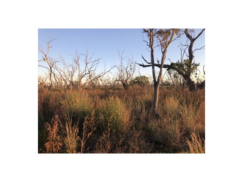 MOORDALE, Walgett NSW 2832