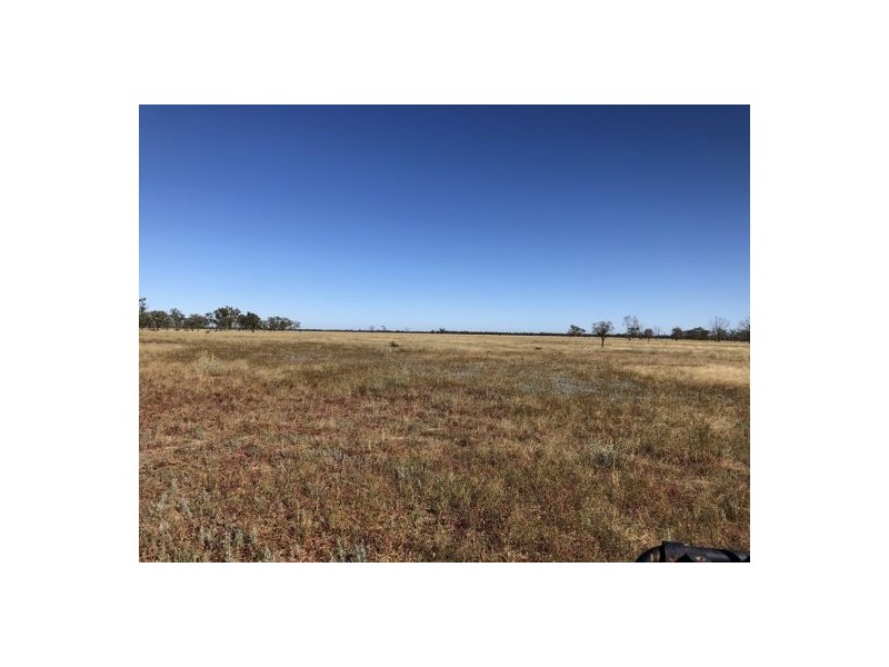 MOORDALE, Walgett NSW 2832