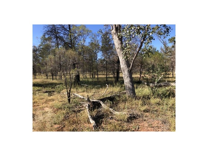 MOORDALE, Walgett NSW 2832