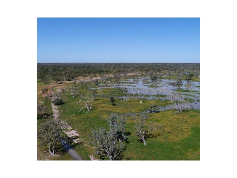 MOORDALE, Walgett NSW 2832