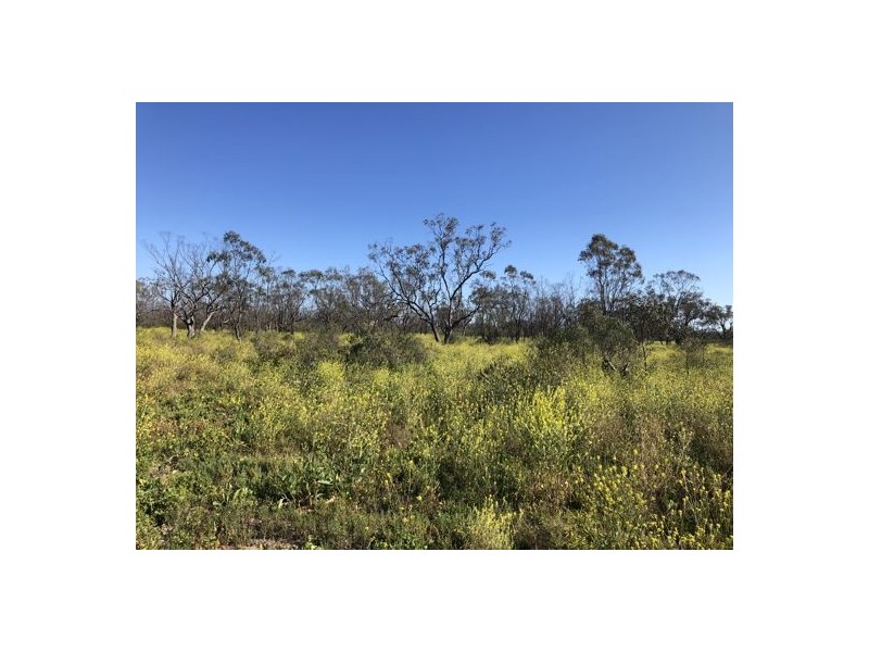 ” YULCARLEY “, Walgett NSW 2832