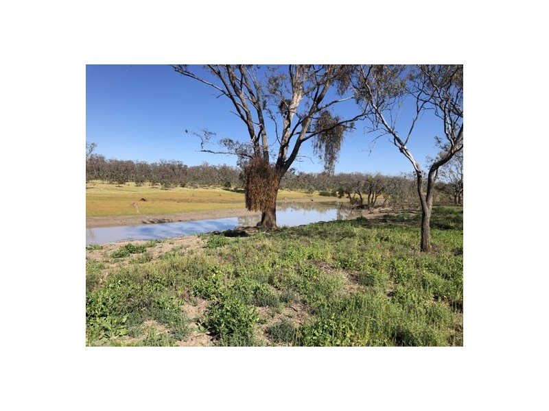 ” YULCARLEY “, Walgett NSW 2832