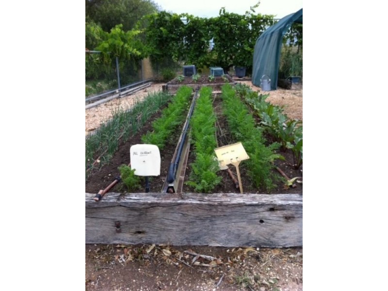 Lot 45 1136 Come-By-Chance Road, Walgett NSW 2832