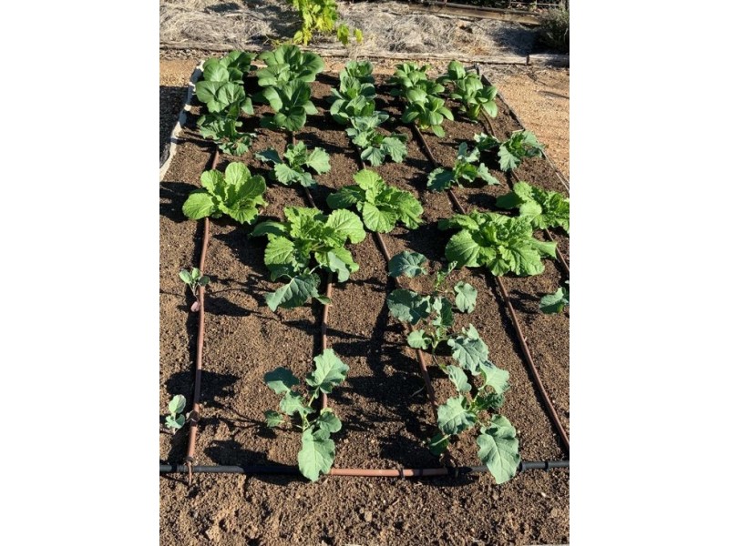 Lot 45 1136 Come-By-Chance Road, Walgett NSW 2832