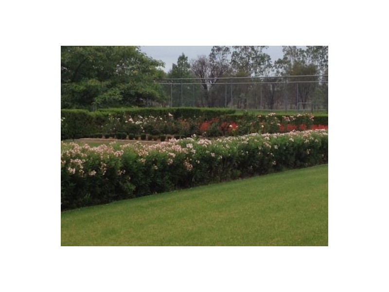 Lot 45 1136 Come-By-Chance Road, Walgett NSW 2832