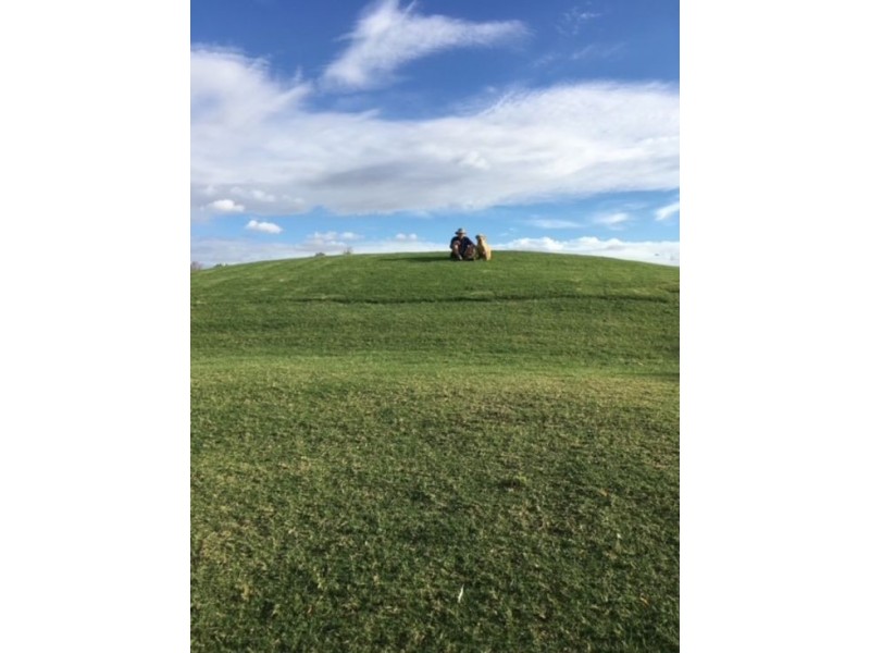 Lot 45 1136 Come-By-Chance Road, Walgett NSW 2832