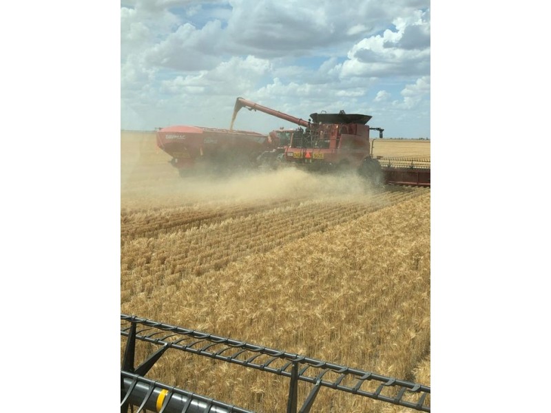 1136 Come-By-Chance Road, Walgett NSW 2832