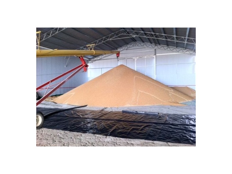 1136 Come-By-Chance Road, Walgett NSW 2832