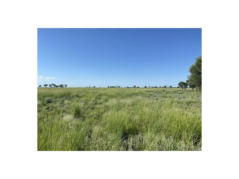 22619 Jobs Gate Rd Inverella/Carinya, Brewarrina NSW 2839