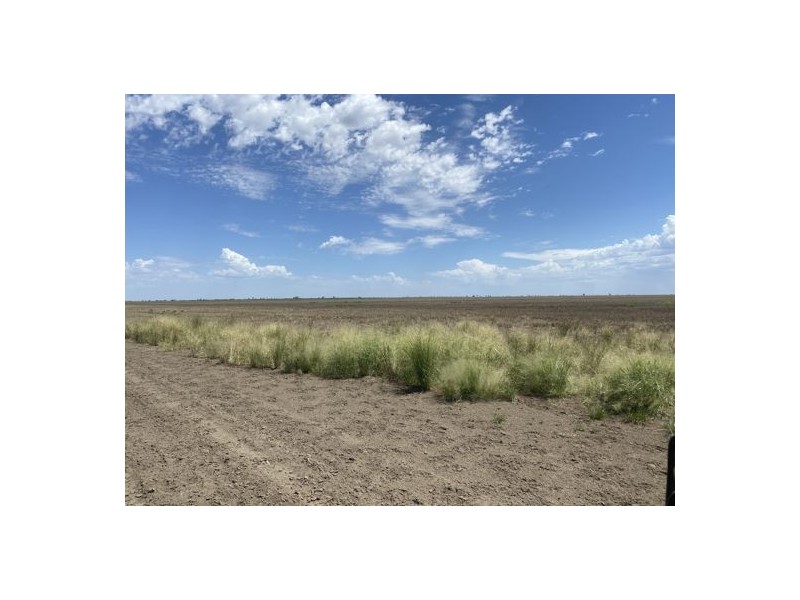 22619 Jobs Gate Rd Inverella/Carinya, Brewarrina NSW 2839