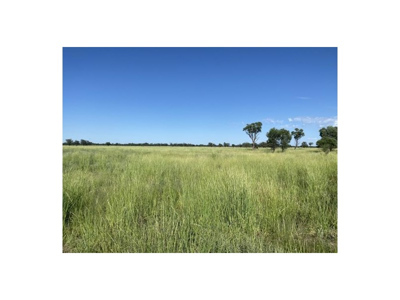 22619 Jobs Gate Rd Inverella/Carinya, Brewarrina NSW 2839