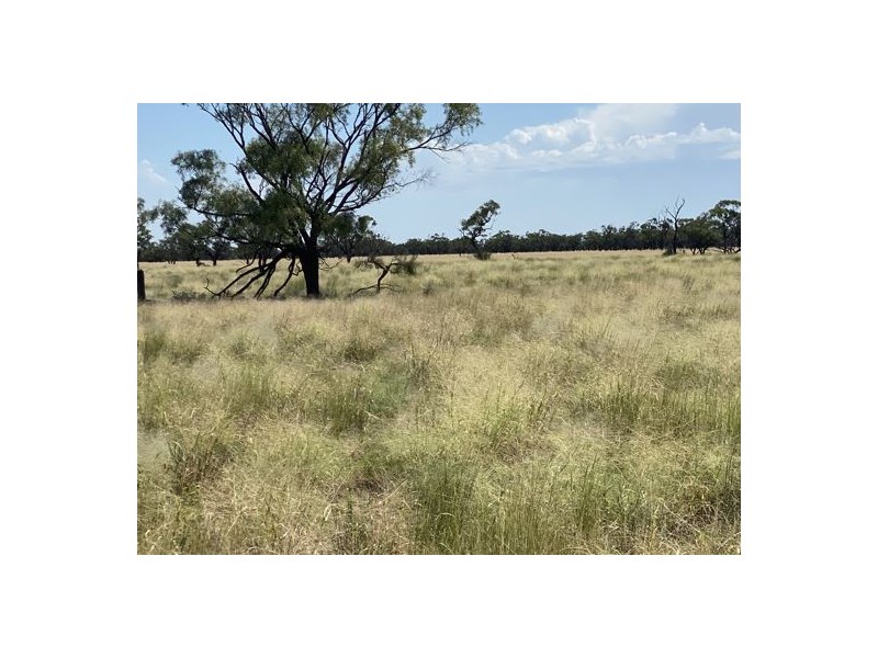 22619 Jobs Gate Rd Inverella/Carinya, Brewarrina NSW 2839