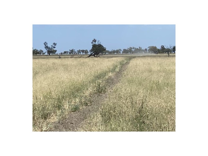 22619 Jobs Gate Rd Inverella/Carinya, Brewarrina NSW 2839