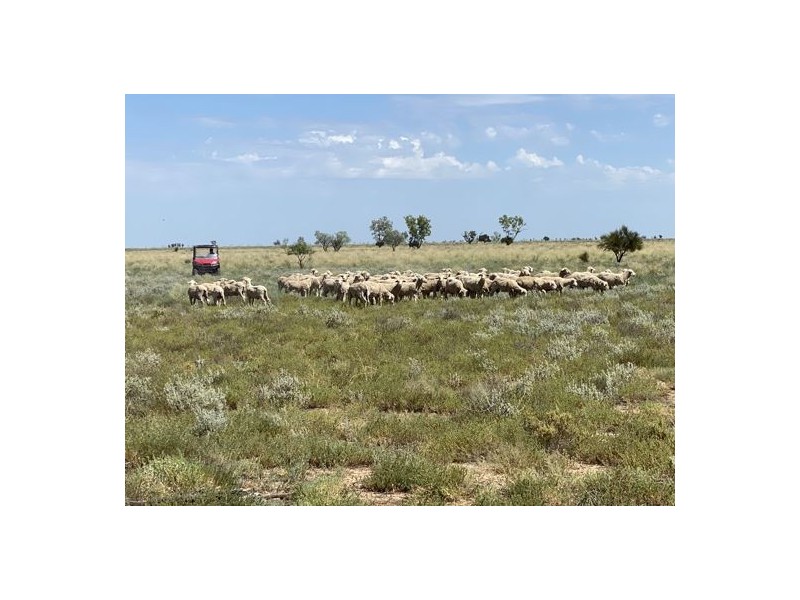 22619 Jobs Gate Rd Inverella/Carinya, Brewarrina NSW 2839