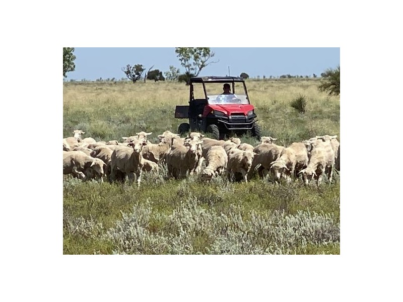 22619 Jobs Gate Rd Inverella/Carinya, Brewarrina NSW 2839