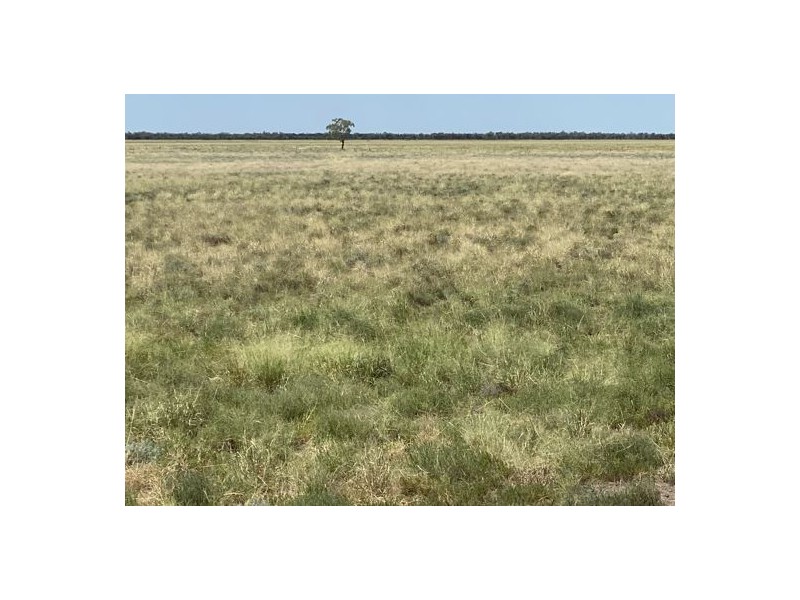 22619 Jobs Gate Rd Inverella/Carinya, Brewarrina NSW 2839