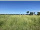 22619 Jobs Gate Rd Inverella/Carinya, Brewarrina NSW 2839
