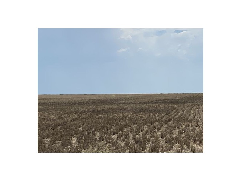 22619 Jobs Gate Rd Inverella/Carinya, Brewarrina NSW 2839