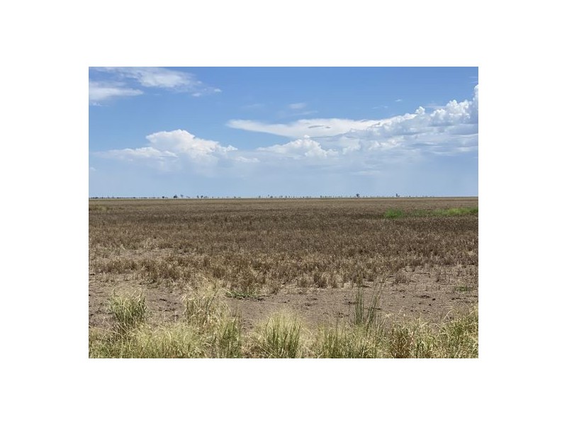 22619 Jobs Gate Rd Inverella/Carinya, Brewarrina NSW 2839