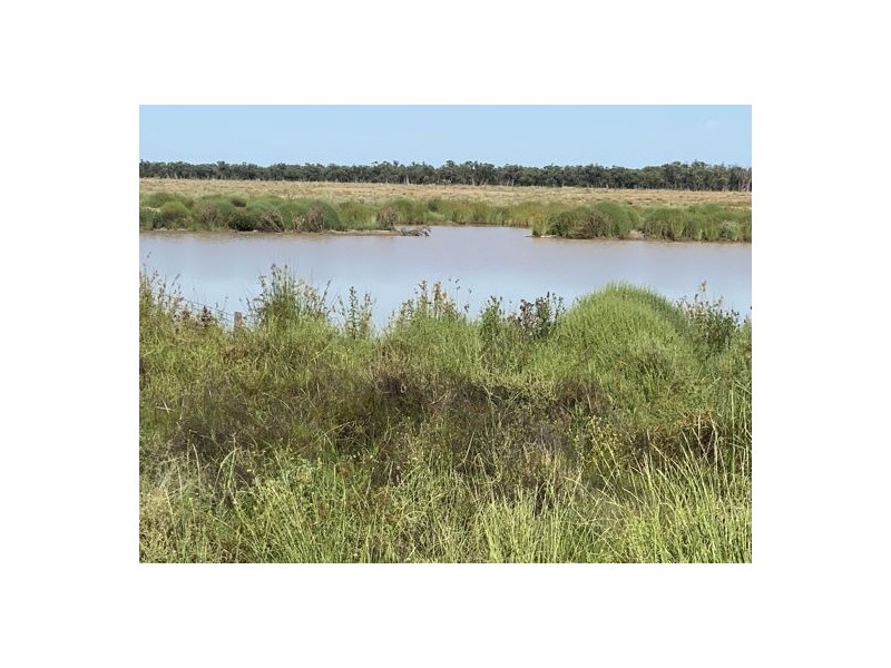 22619 Jobs Gate Rd Inverella/Carinya, Brewarrina NSW 2839