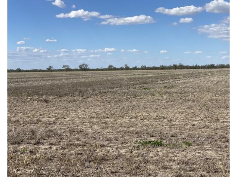 COOBIENDA, Goodooga NSW 2831