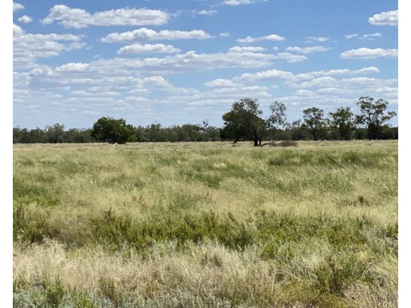 COOBIENDA, Goodooga NSW 2831