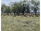 COOBIENDA, Goodooga NSW 2831