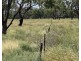 COOBIENDA, Goodooga NSW 2831
