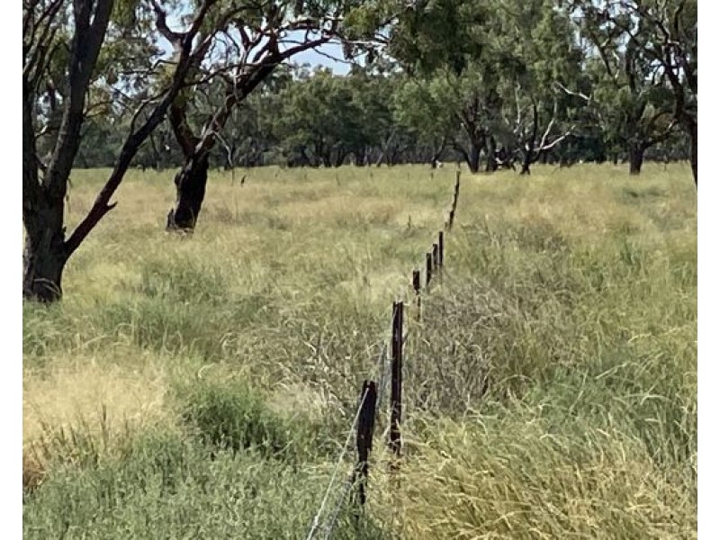 COOBIENDA, Goodooga NSW 2831