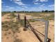COOBIENDA, Goodooga NSW 2831
