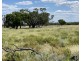 COOBIENDA, Goodooga NSW 2831