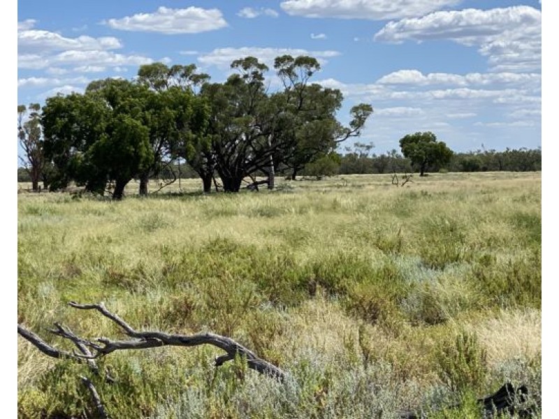 COOBIENDA, Goodooga NSW 2831