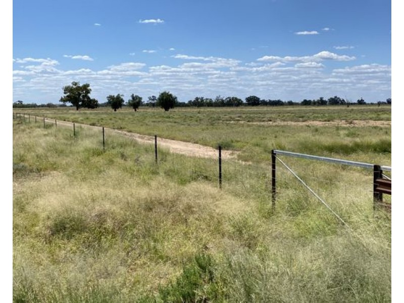 COOBIENDA, Goodooga NSW 2831