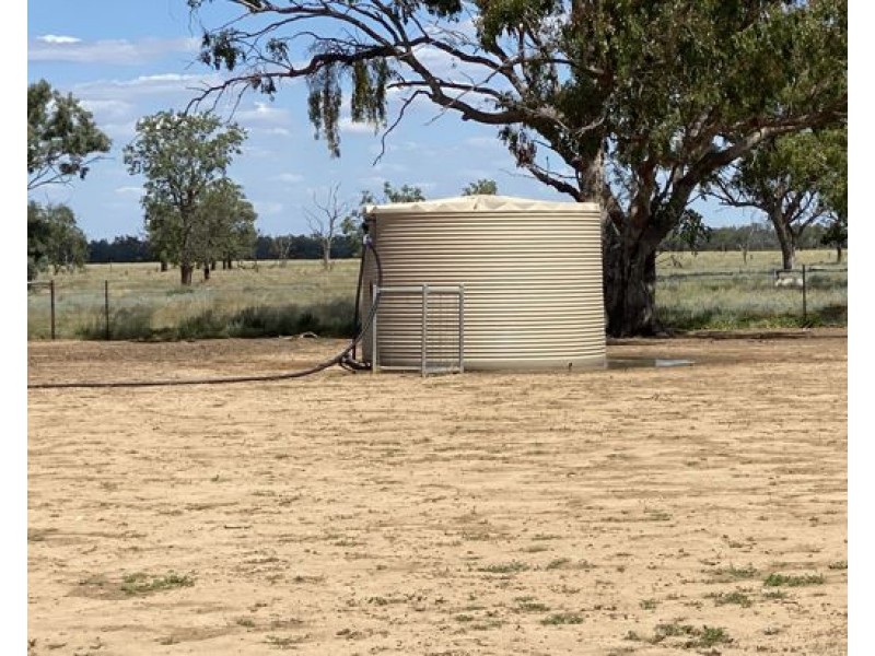 COOBIENDA, Goodooga NSW 2831