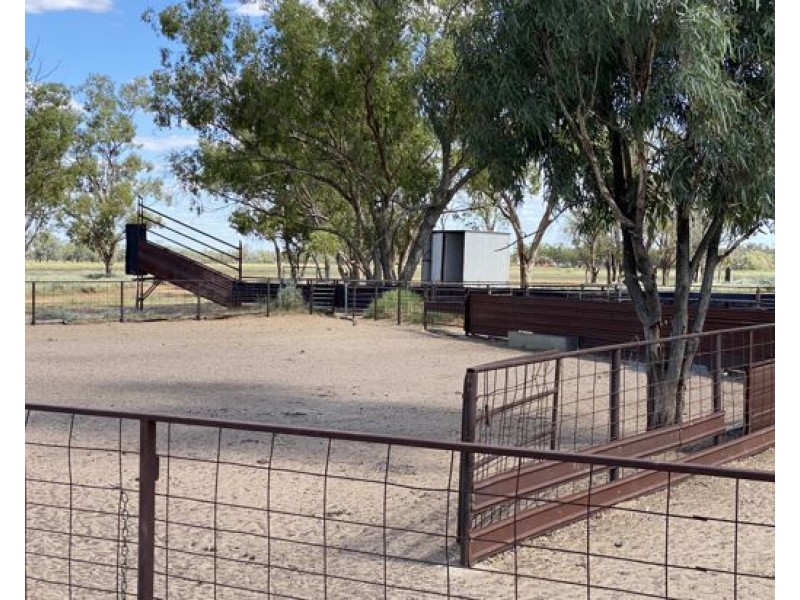 COOBIENDA, Goodooga NSW 2831