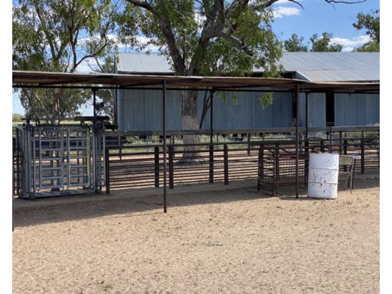 COOBIENDA, Goodooga NSW 2831