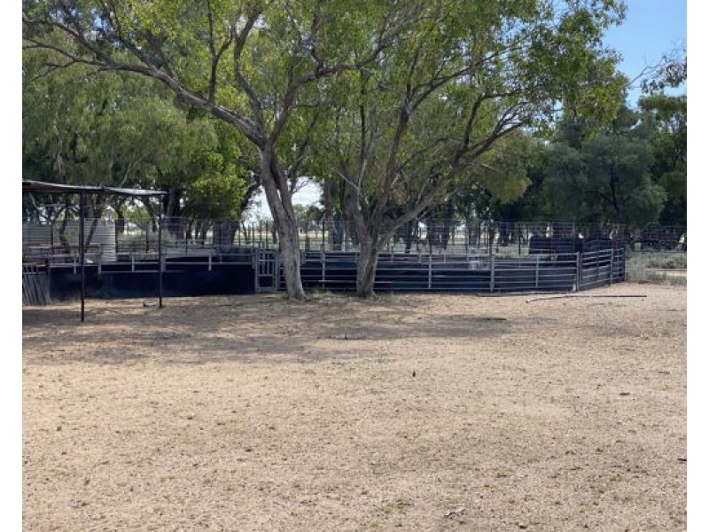 COOBIENDA, Goodooga NSW 2831