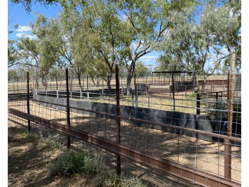 COOBIENDA, Goodooga NSW 2831