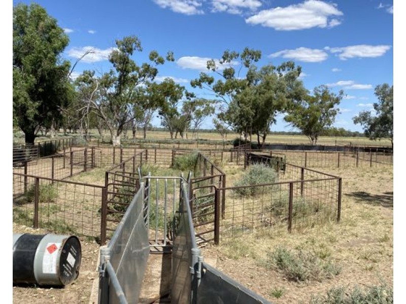 COOBIENDA, Goodooga NSW 2831