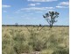 COOBIENDA, Goodooga NSW 2831
