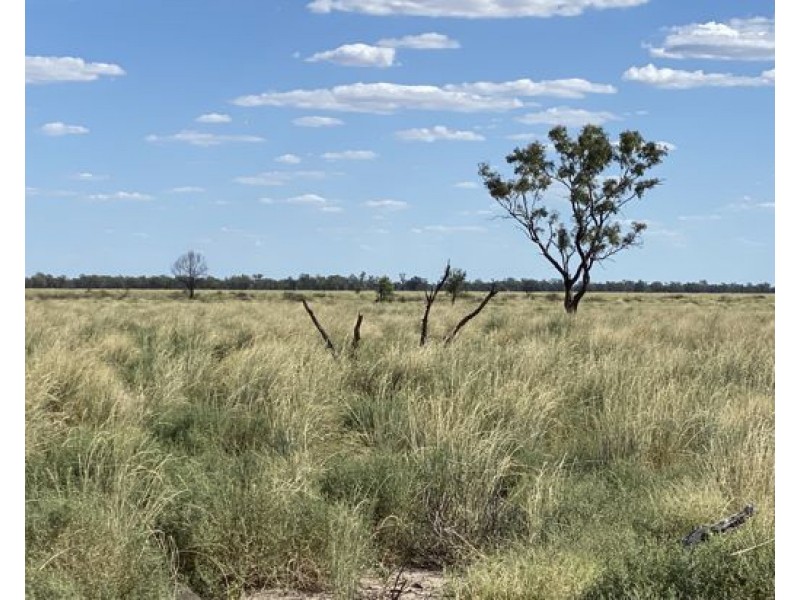 COOBIENDA, Goodooga NSW 2831