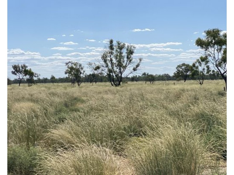 COOBIENDA, Goodooga NSW 2831
