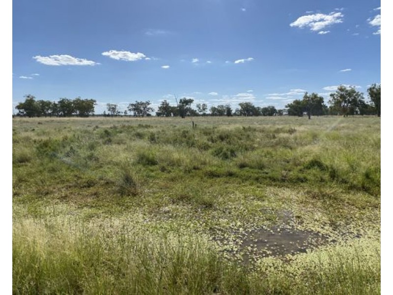 COOBIENDA, Goodooga NSW 2831