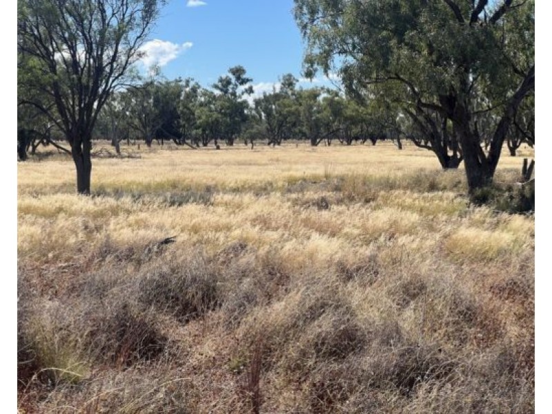 Walgett NSW 2832