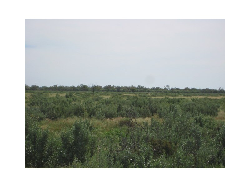 Waratah, Brewarrina NSW 2839