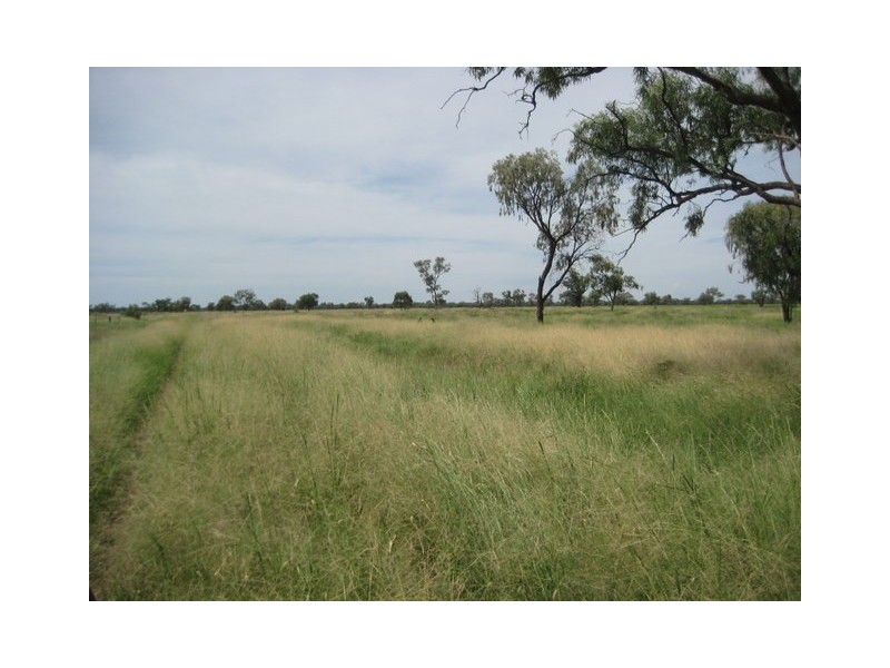 Waratah, Brewarrina NSW 2839