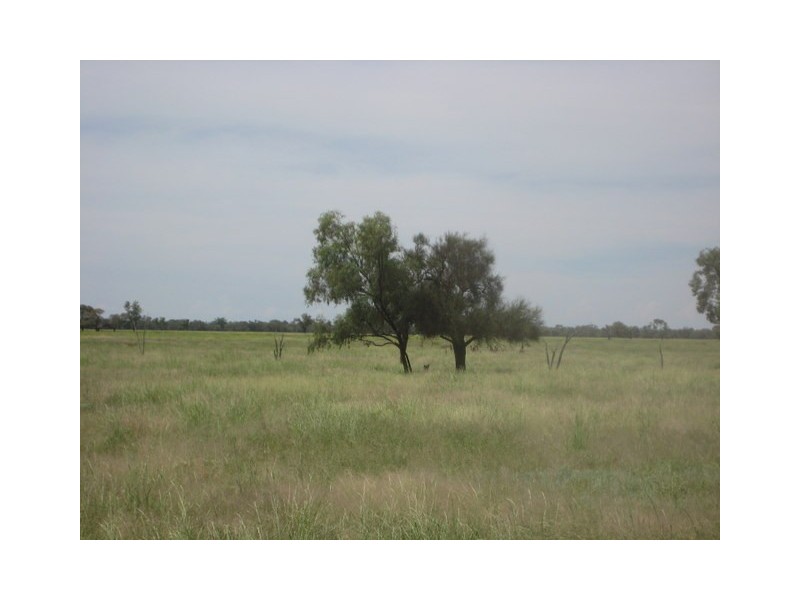 Waratah, Brewarrina NSW 2839