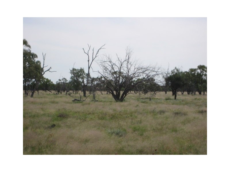 Waratah, Brewarrina NSW 2839