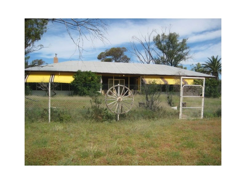 Waratah, Brewarrina NSW 2839